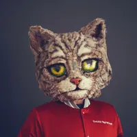 Kool Kat