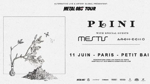 PLINI