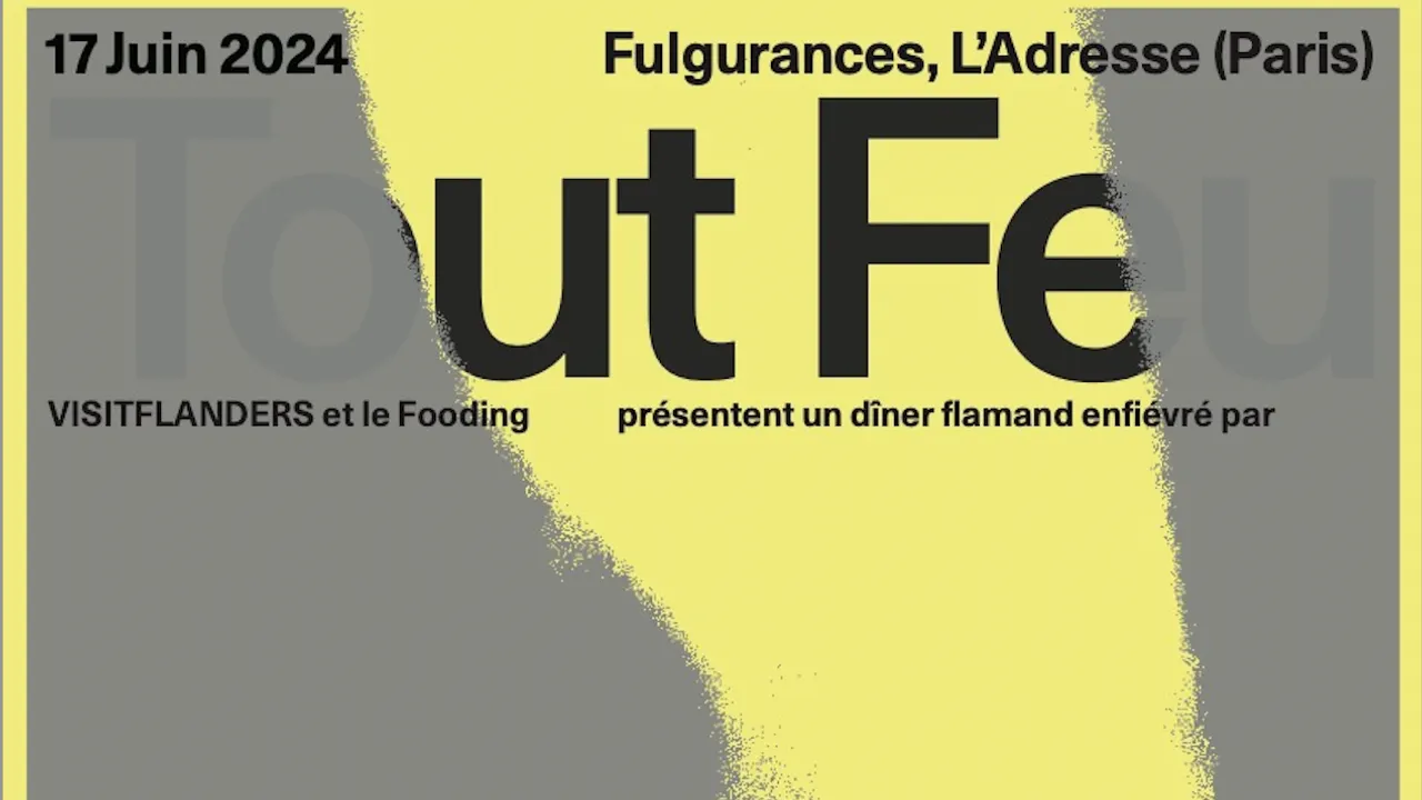 Tout Feu Tout Flandre