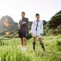 Broods