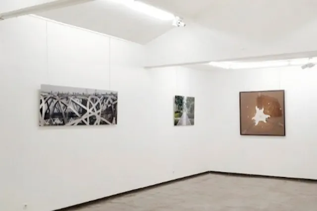 La Galerie Pascal Vanhoecke