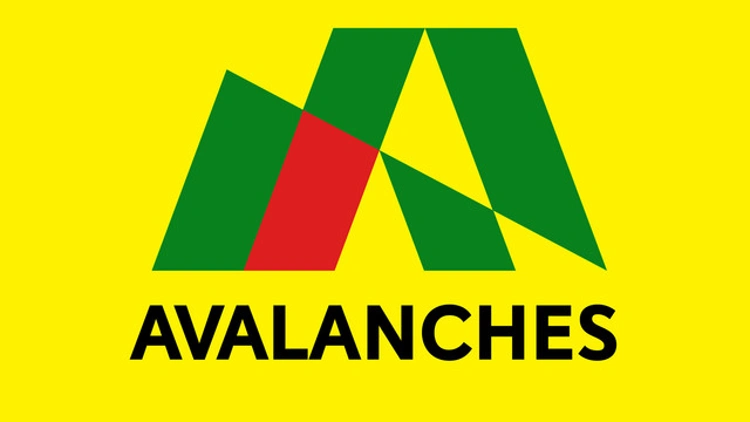 The Avalanches + Gavin Turek