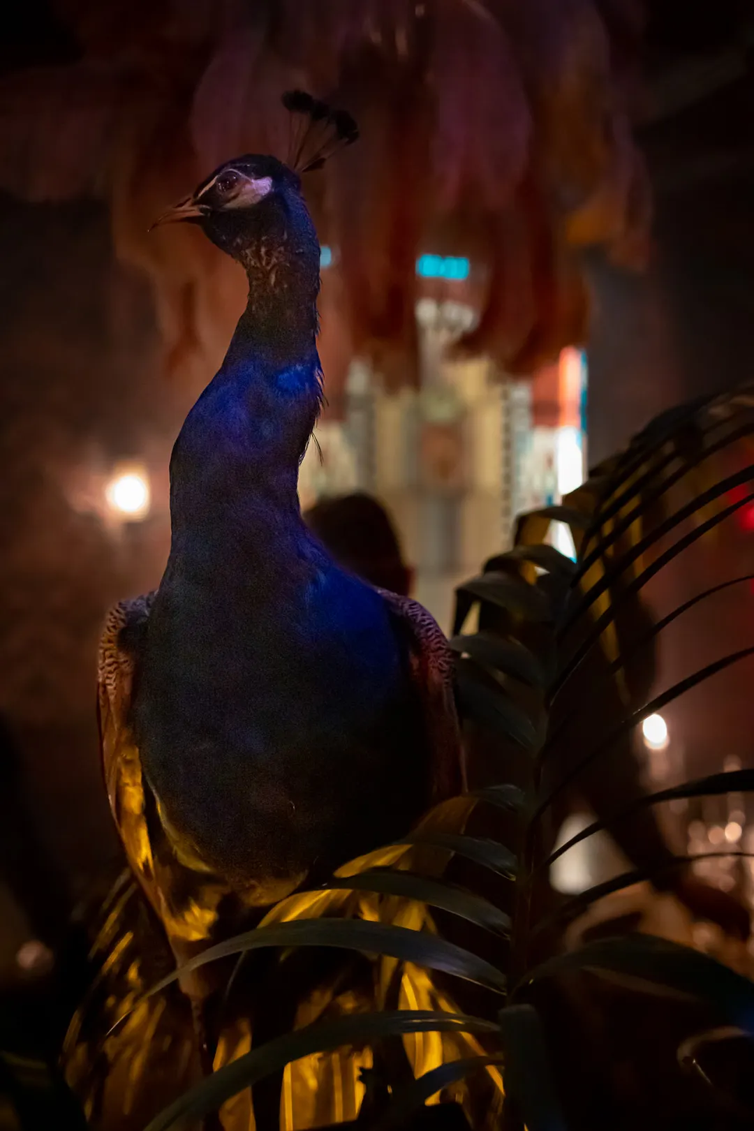 Gala Restaurant Bar Paris