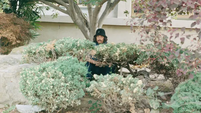 Drugdealer