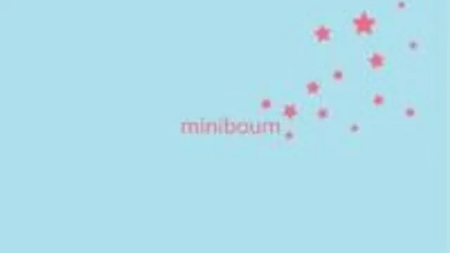 After Miniboum