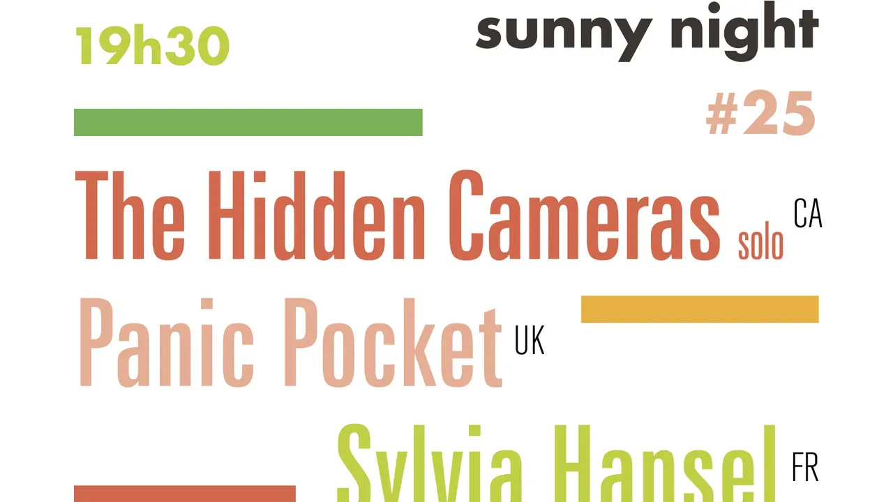 ASN#25 : The Hidden Cameras (solo) + Panic Pocket + Sylvia Hansel
