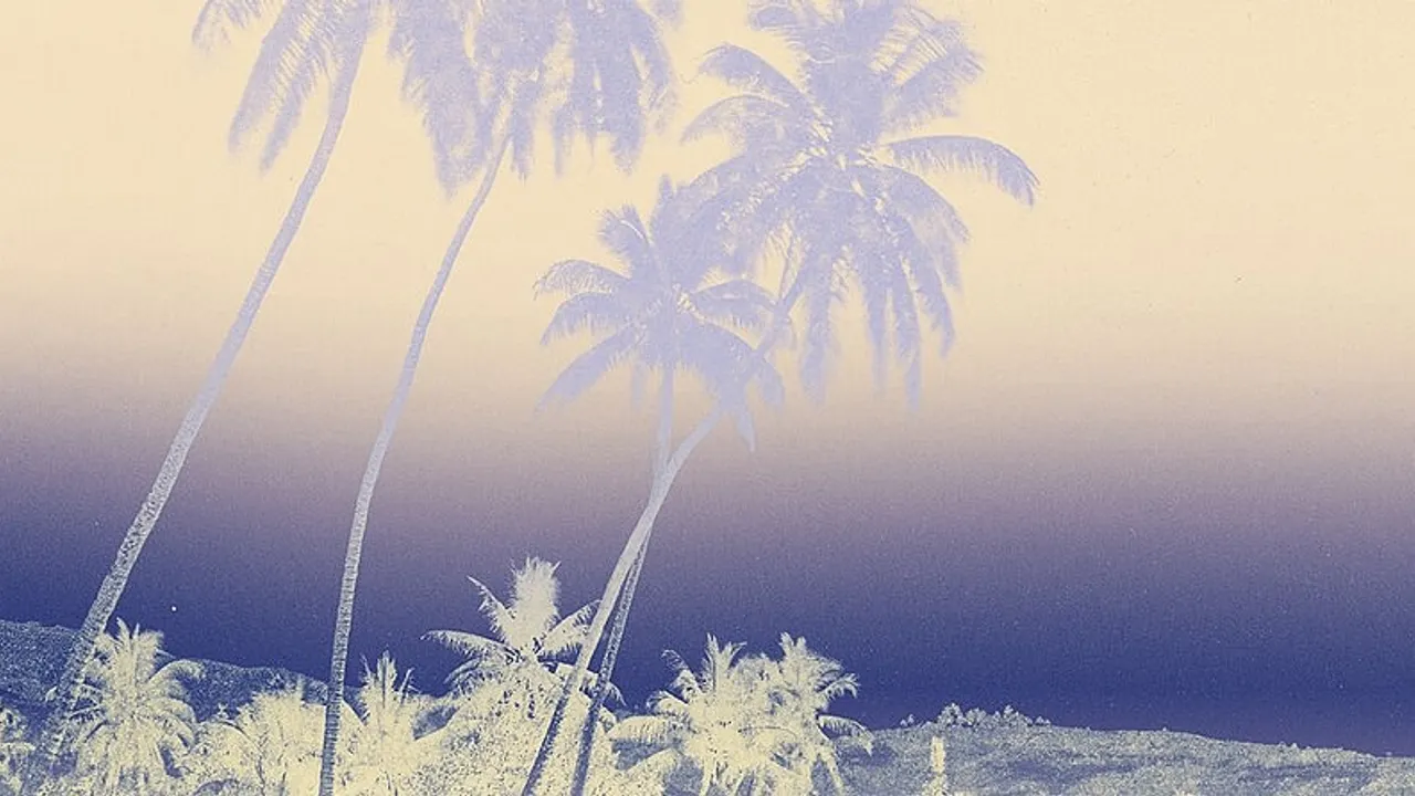 Voir Tahiti - Premières photographies 1859-1870