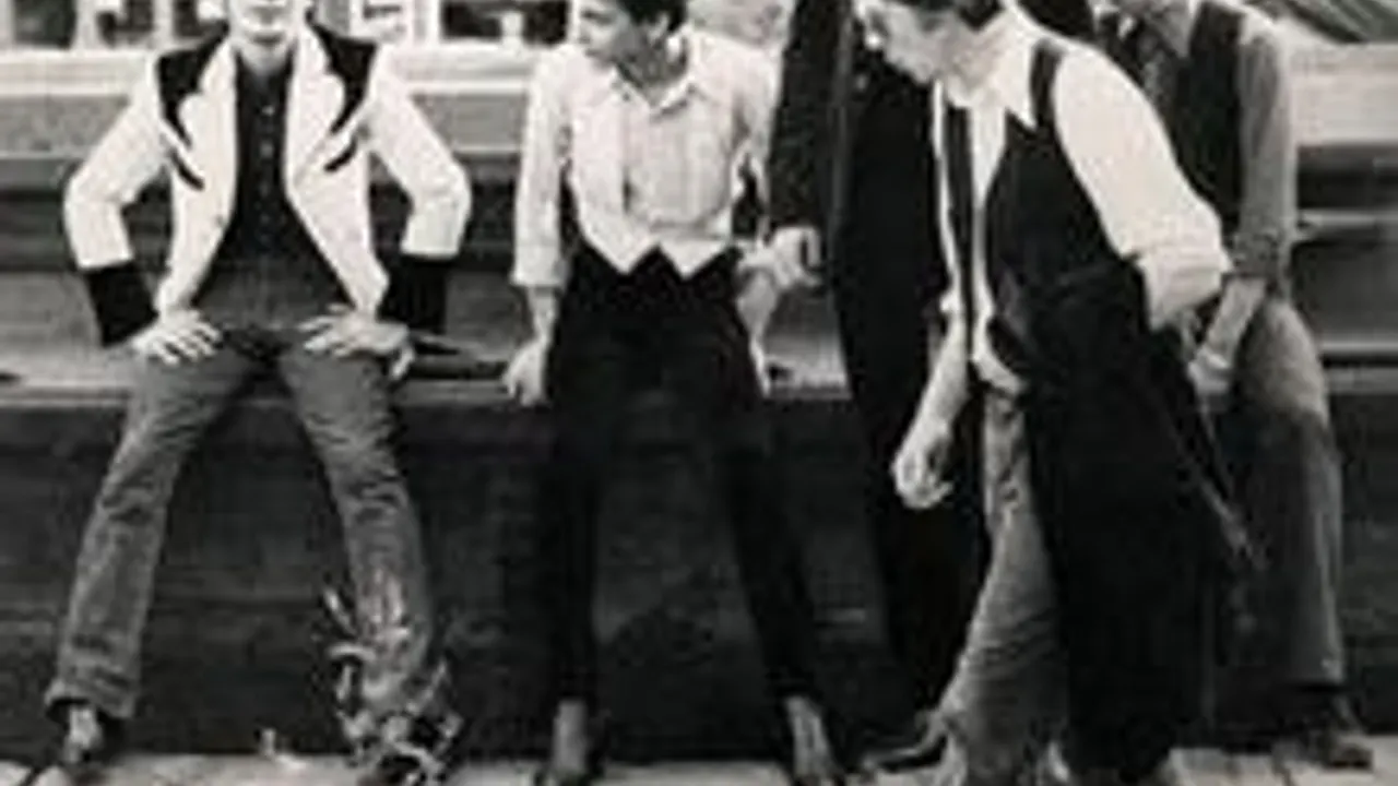 Flamin' Groovies + Fuzzy Vox