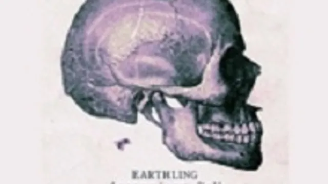 EARTHLING + Mekanik Kantatik