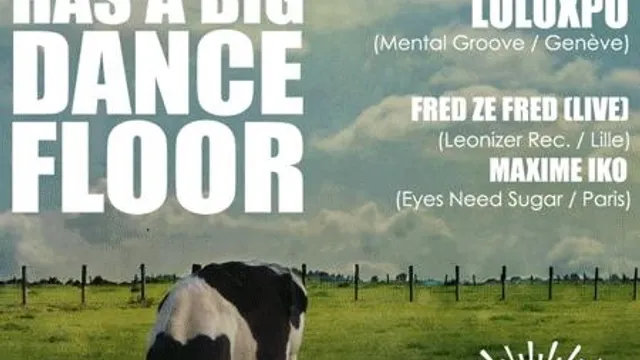 My Little Kitchen Has A Big Dancefloor