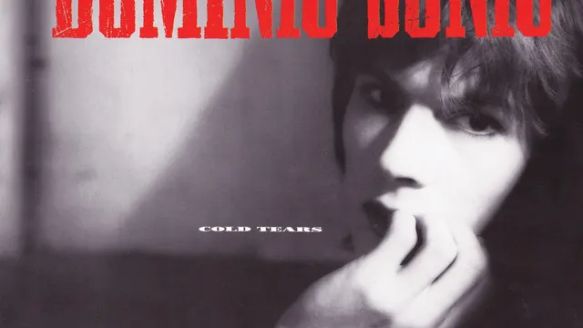 Dominic Sonic - le ferrailleur - nantes