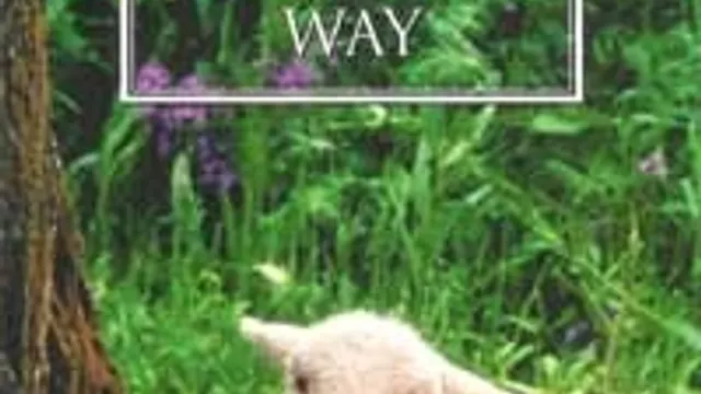 The Other Way