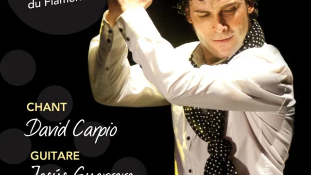 Andrés PENA, Trio Flamenco d'Andalousie