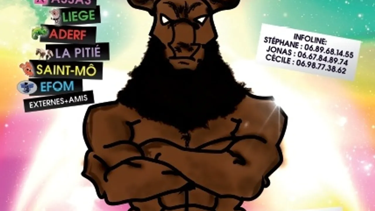 Vous etes des animaux