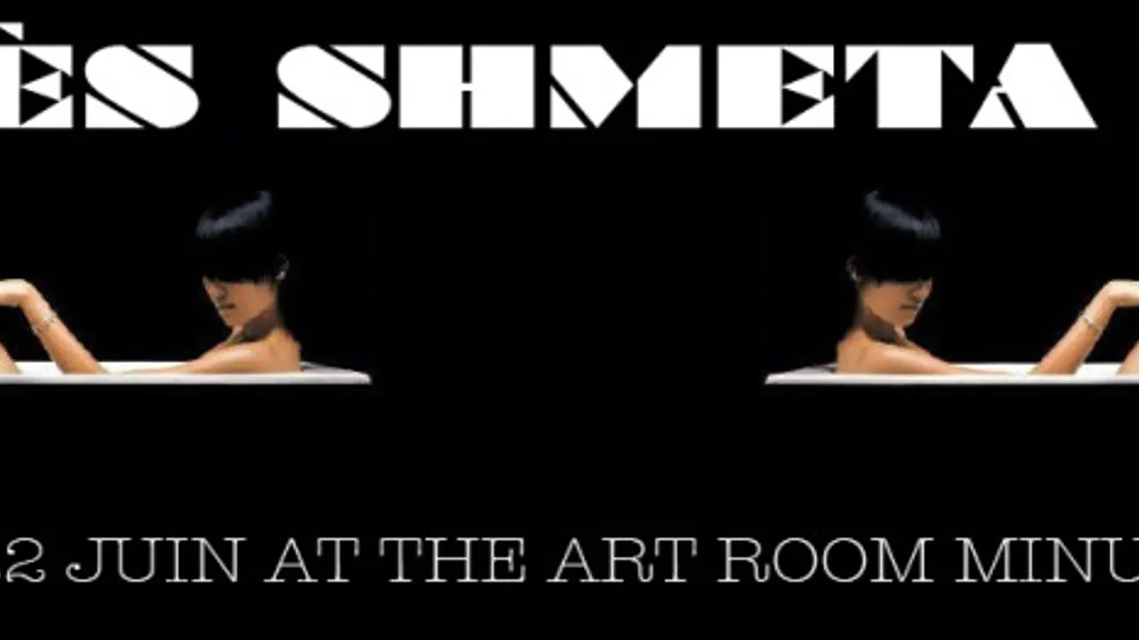 Farès Shmeta Aka Vs Art Room