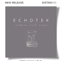 Echotek