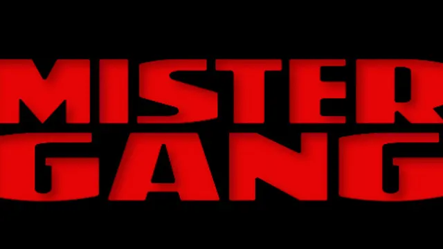 Mister Gang - Tournée