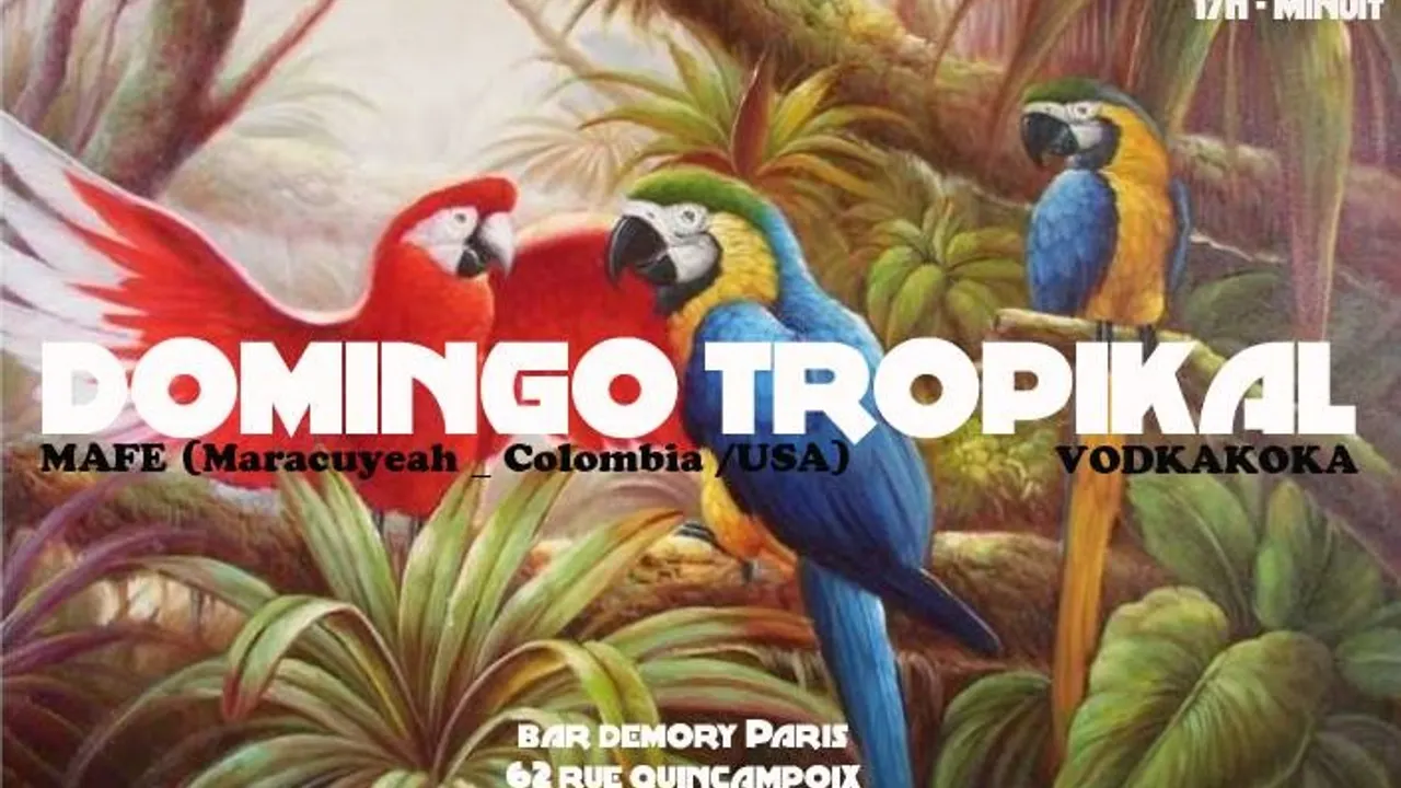 Domingo Tropikal Edition 2