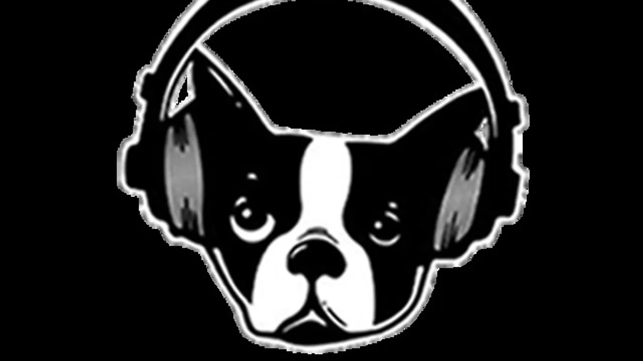 SNARKY PUPPY