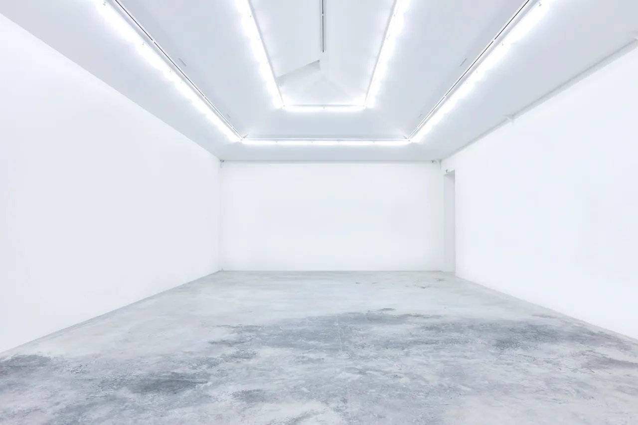 Galerie Almine Rech
