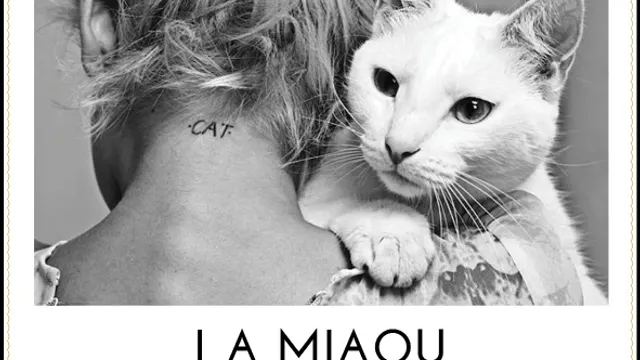 La Miaou: Apero & Soirée
