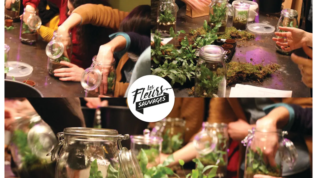 DIY : Fabrication d'un Terrarium