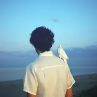 Foé