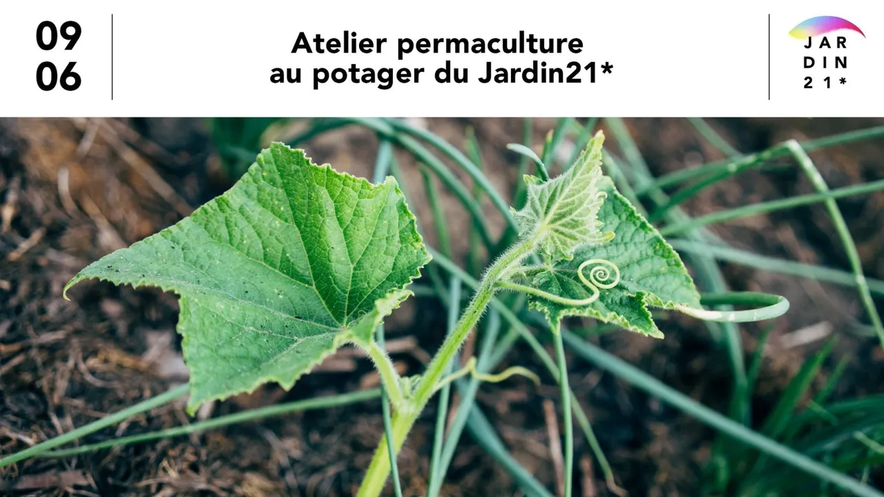Atelier permaculture au potager du jardin21*