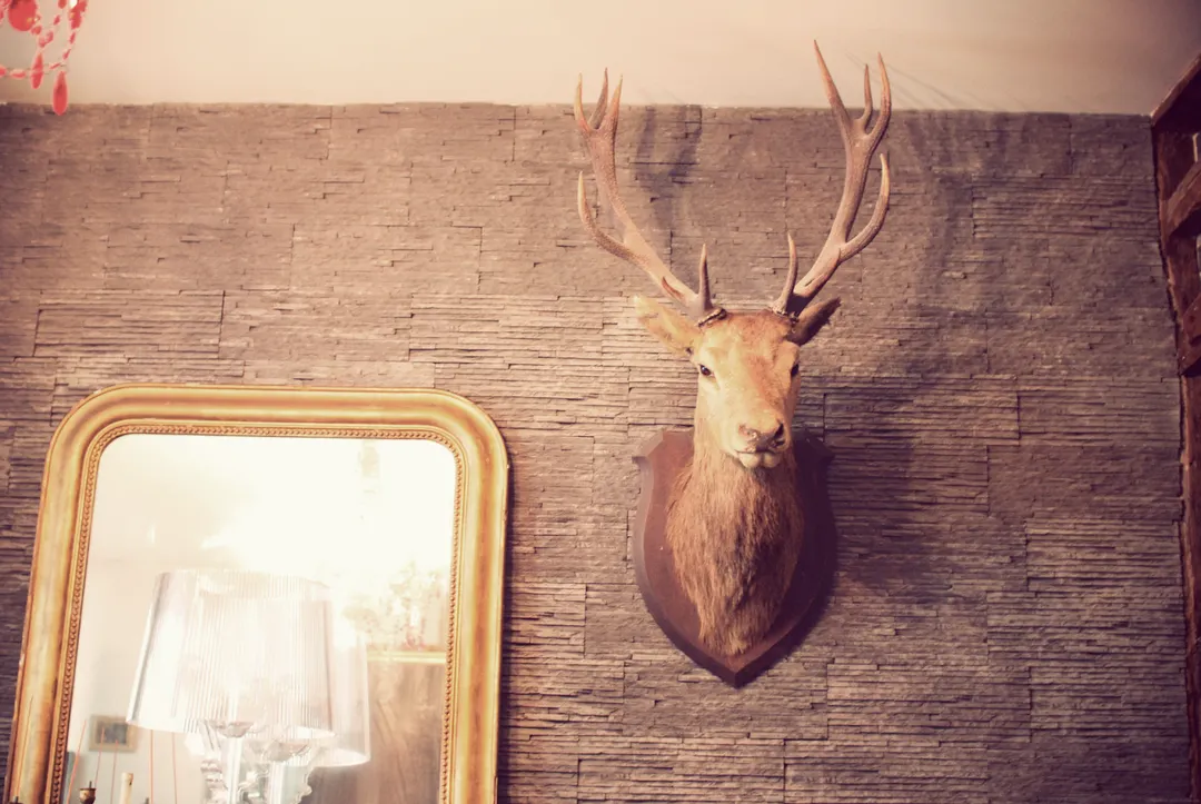 La Chasse Gardée Restaurant Bar Paris