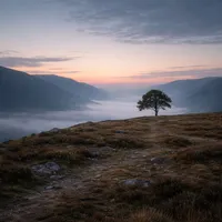 Lonely Ambition