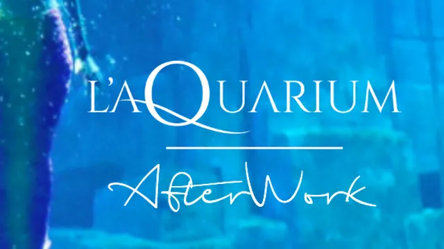 Afterwork A L'aquarium De Paris