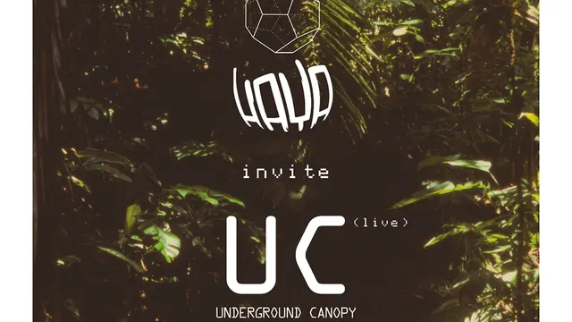 HAYA + UNDERGROUND CANOPY