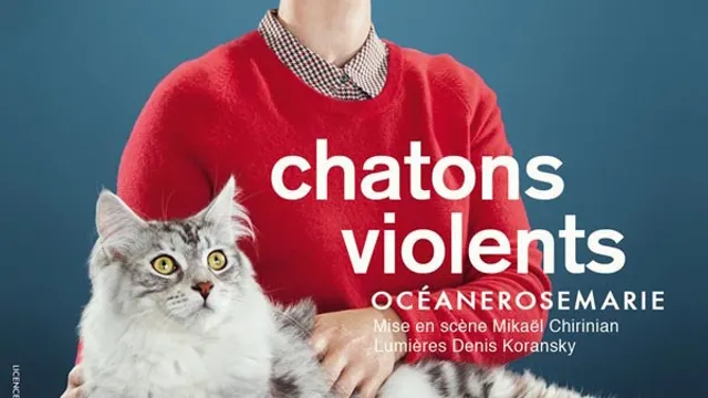 Océanerosemarie : Chatons Violents