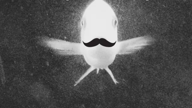 Agorafrog Party#15 avec Thesaintcyr x You Said Strange x Les Taxidermistes dj set