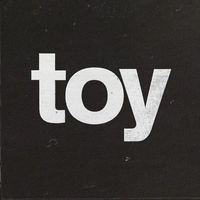 Toy