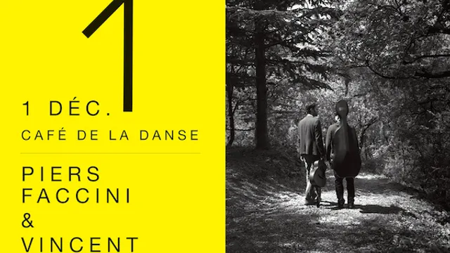 FESTIVAL 10 ANS NO FORMAT! : PIERS FACCINI + VINCENT SEGAL