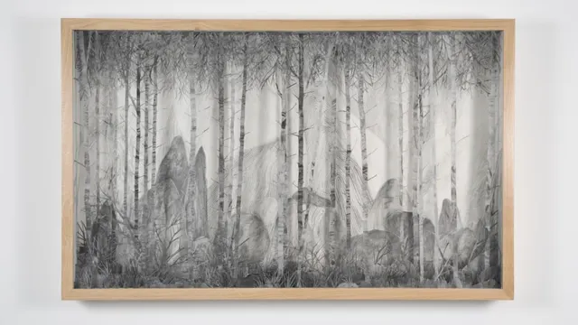 Eva Jospin Dessins pour un jardin