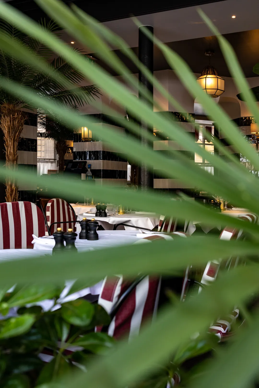 Sonia Restaurant Paris