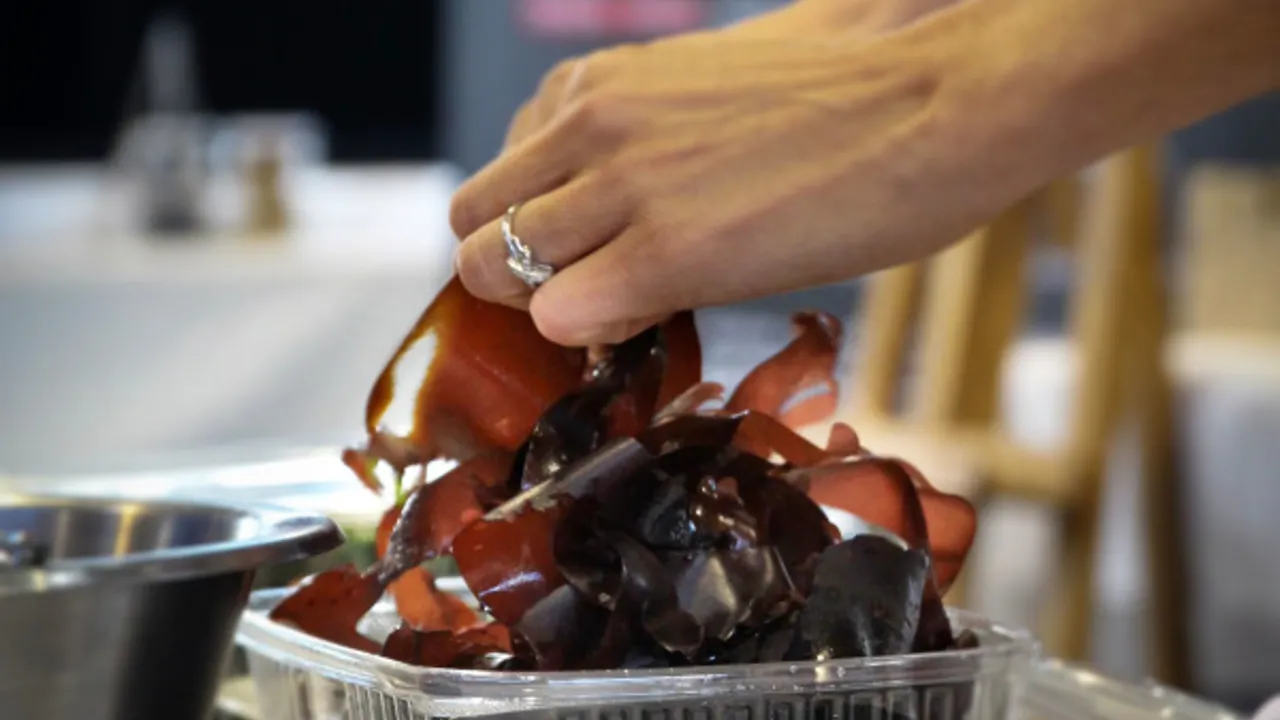 Conférence, "algues futur alimentaire », Hélène Marfaing