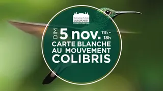 Carte Blanche au Mouvement Colibris
