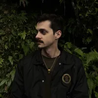Vulture Theory
