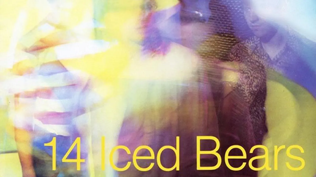 14 Iced Bears