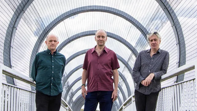 The Necks