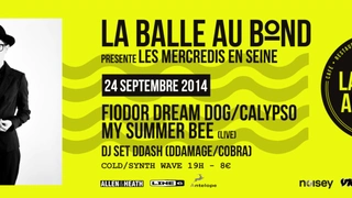 Fiodor Dream dog,calypso,my summer bee