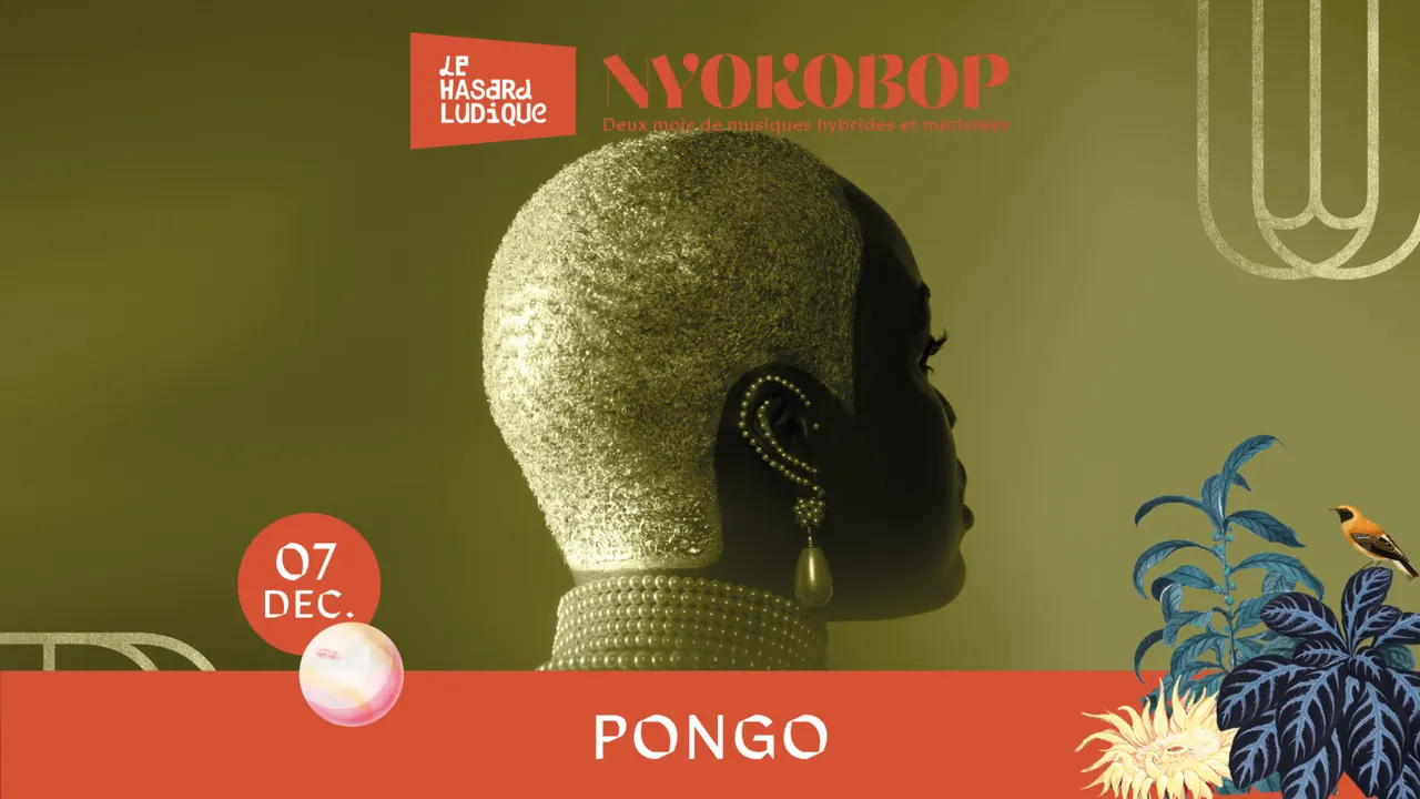 PONGO X NYOKOBOP