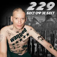 Два Два Дев'ять