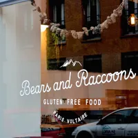 Bears and Raccoons