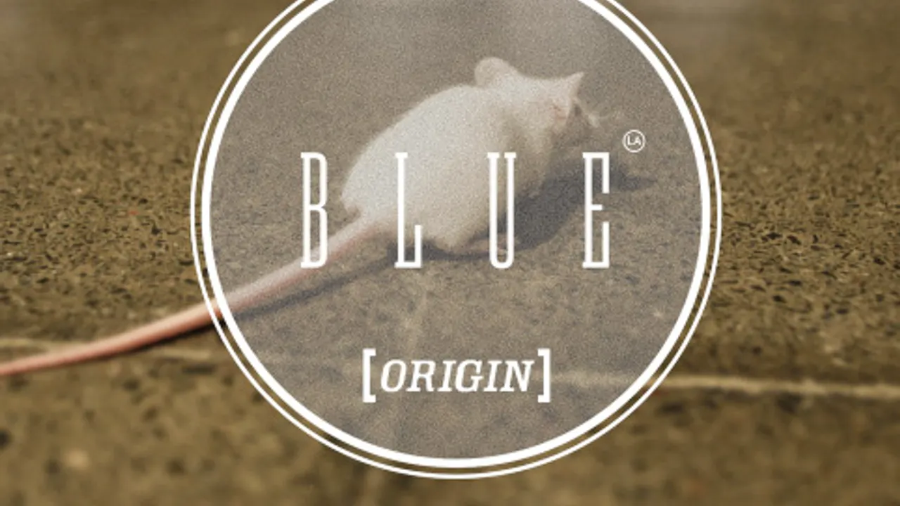 La blue origin