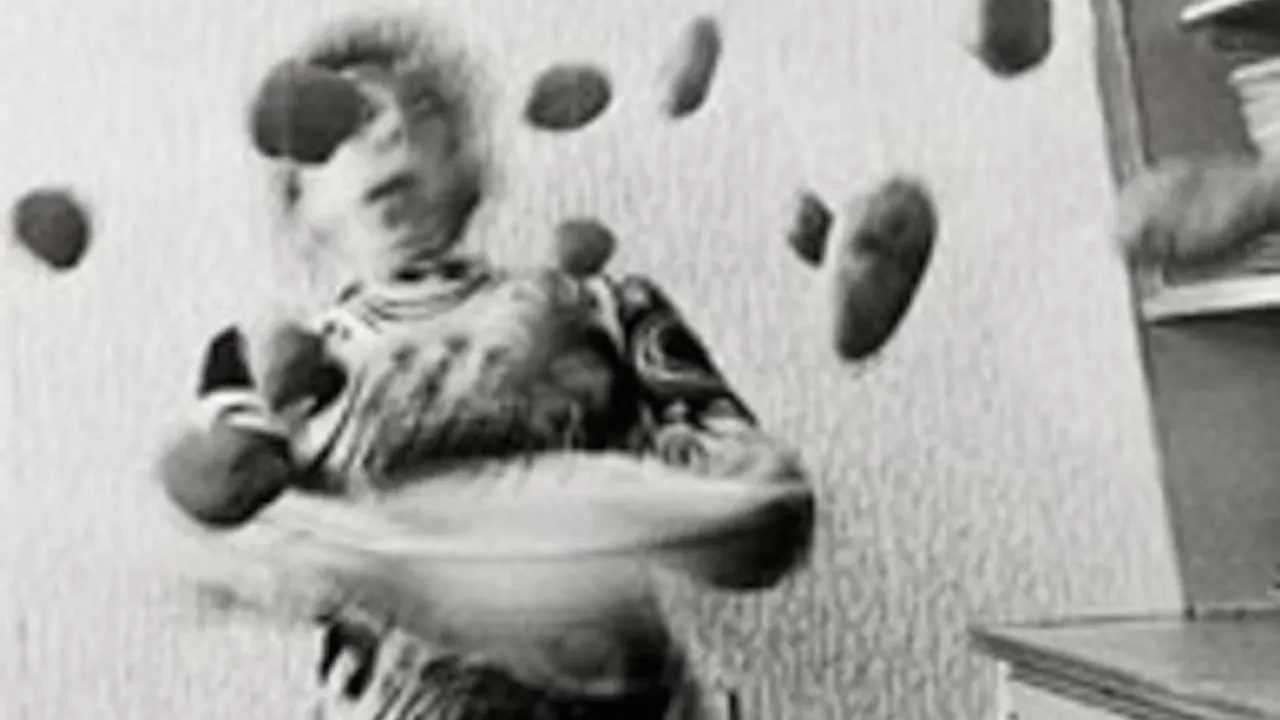 Exposition Anna et Bernhard Blume : La Photographie Transcendantale