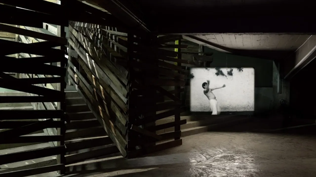 Joachim Koester - Reptile Brain Or Reptile Body, It's Your Animal
